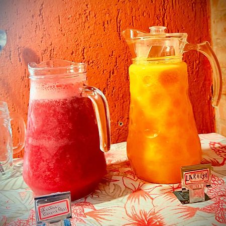 Santo Antônio do Pinhal 品哈伦斯旅馆酒店 外观 照片